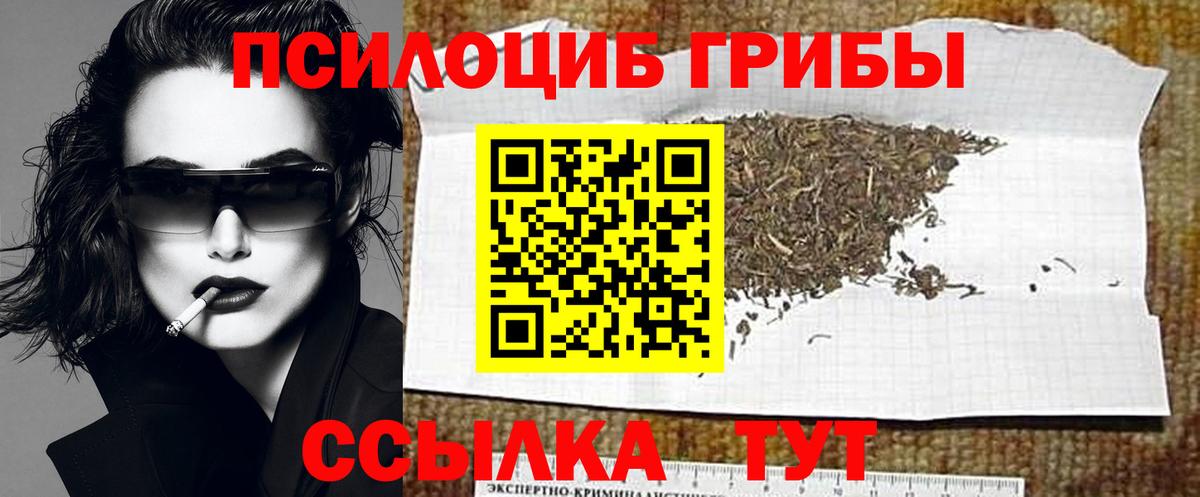 Псилоцибиновые грибы MAGIC MUSHROOMS Фрязино